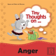 Tiny Thoughts On Anger