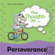 Tiny Thoughts On Perseverance