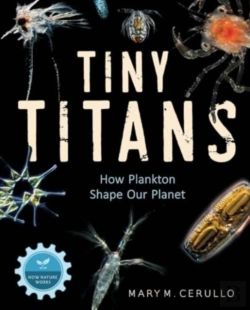 Bertrand.pt - Tiny Titans