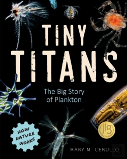Bertrand.pt - Tiny Titans