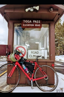 Bertrand.pt - Tioga Pass Bike Tour Yosemite National Park