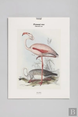 Bertrand.pt - Tirage Bnf : Flamant Rose