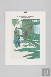 Tirage Bnf : Grenouilles, Iris Et Nénuphars