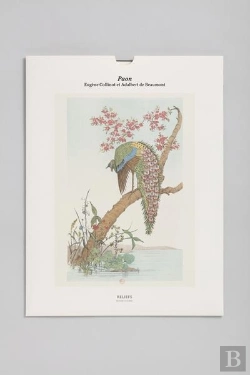 Bertrand.pt - Tirage Bnf : Paon