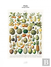 Tirage : Fruits