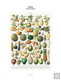 Bertrand.pt - Tirage : Fruits