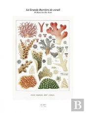 Tirage : La Grande Barrière De Corail