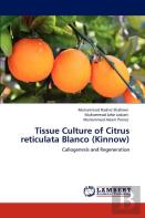 Tissue Culture Of Citrus Reticulata Blanco (Kinnow)