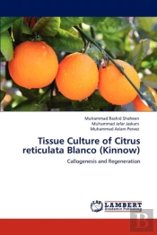 Tissue Culture Of Citrus Reticulata Blanco (Kinnow)