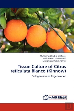 Bertrand.pt - Tissue Culture Of Citrus Reticulata Blanco (Kinnow)