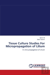 Tissue Culture Studies For Micropropagation Of Lilium