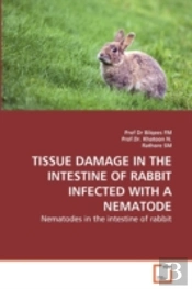 Tissue Damage In The Intestine Of Rabbit Infected With A Nematode