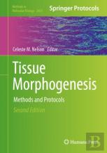 Tissue Morphogenesis