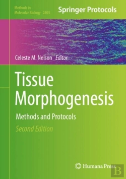 Bertrand.pt - Tissue Morphogenesis