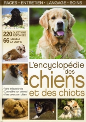 Titre A Reutiliser