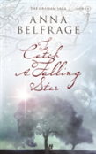 To Catch A Falling Star