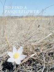 To Find A Pasqueflower