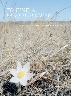 Bertrand.pt - To Find A Pasqueflower