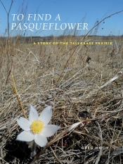 To Find A Pasqueflower
