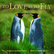 To Love Is To Fly