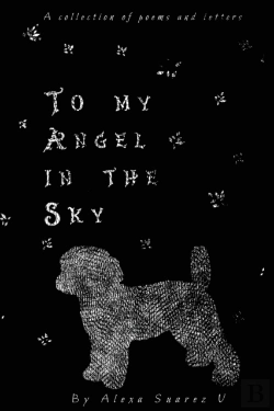 Bertrand.pt - To My Angel In The Sky