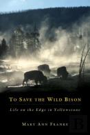 To Save The Wild Bison