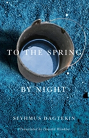 To The Spring, By Night