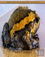 Toad