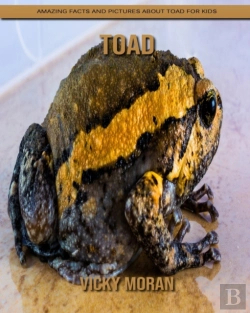 Bertrand.pt - Toad