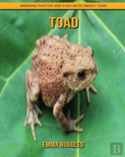 Bertrand.pt - Toad