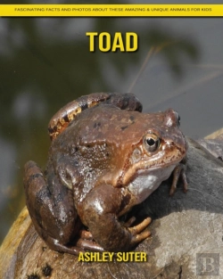 Bertrand.pt - Toad