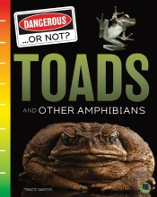 Toads And Other Amphibians