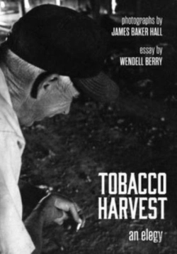 Bertrand.pt - Tobacco Harvest