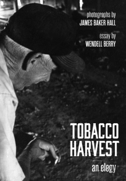 Bertrand.pt - Tobacco Harvest