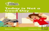 Today Is Not A Good Day!