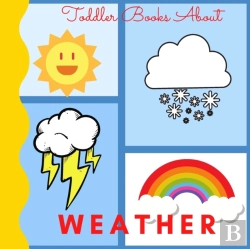 Bertrand.pt - Toddler Books About Weather