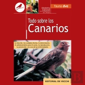 Todo Sobre Canarios