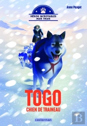 Togo, Chien De Traîneau