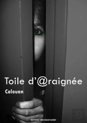 Toile D'Araignee