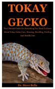 Tokay Gecko