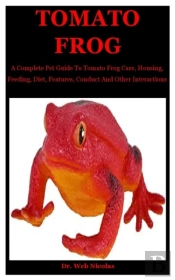 Tomato Frog