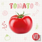Tomato