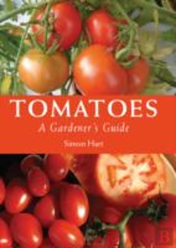 Bertrand.pt - Tomatoes