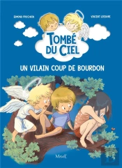 Tombé Du Ciel Tome 5 : Un Vilain Coup De Bourdon