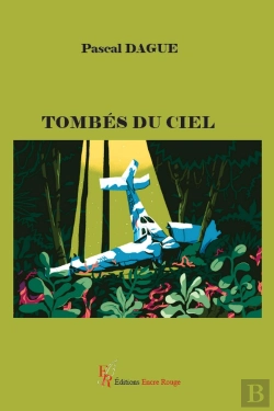 Bertrand.pt - Tombés Du Ciel