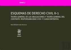 Bertrand.pt - Tomo Lvi Esquemas De Introducción Al Derecho Civil