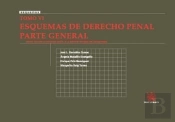 Tomo Vi Esquemas De Derecho Penal Parte General