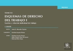 Bertrand.pt - Tomo Xii Esquemas De Derecho Del Trabajo I Fuentes Y Relación Individual De Trabajo 2ª Edición