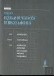 Tomo Xiv Esquemas De Prevención De Riesgos Laborales