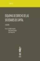 Tomo Xli Esquemas De Derecho De Las Sociedades De Capital 5ª Edición 2019